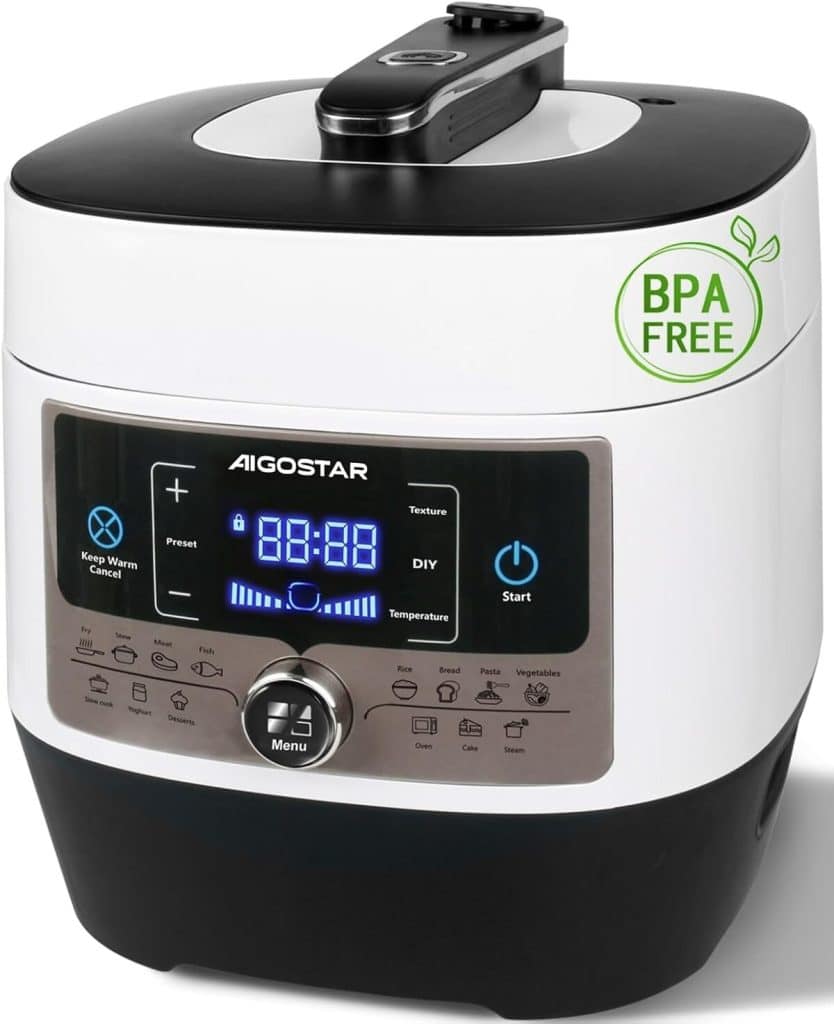 Test de l'Aigostar Panda 30HGZ : cocotte-minute multifonctions 1000 W