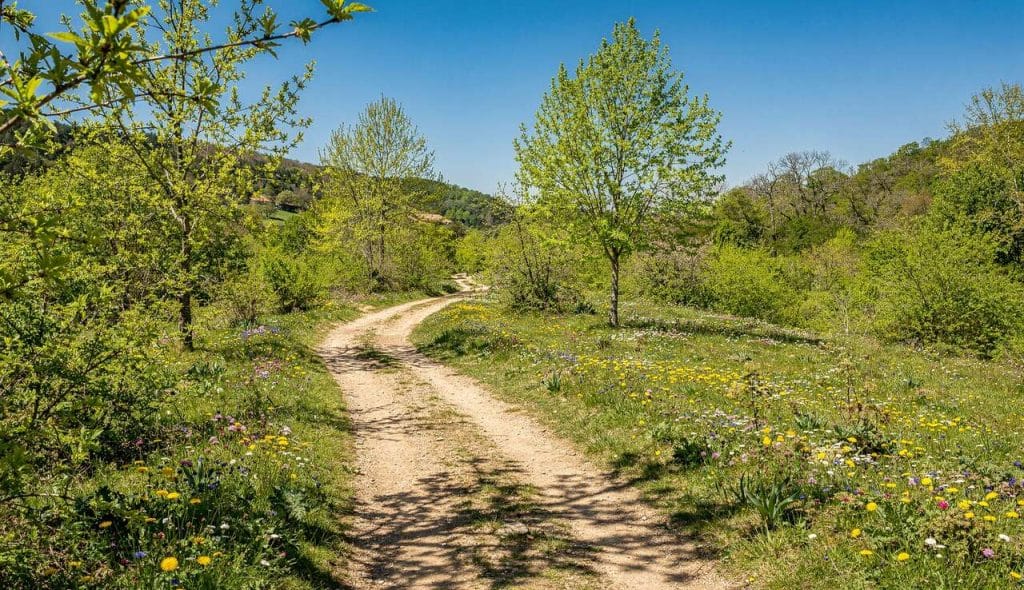 Circuit du Moulin de Forgues : randonnée Printanière 2026