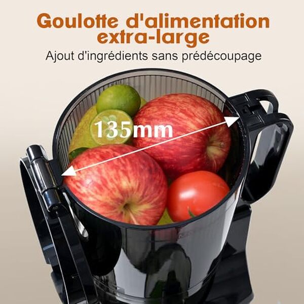 Découvrez notre test détaillé de l'extracteur de jus Fretta 250W : performances, avantages et inconvénients de ce modèle à mastication lente pour votre cuisine. 